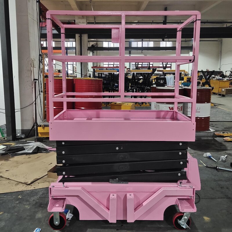 Platform Lift Electric - Safety Guardrails Factory