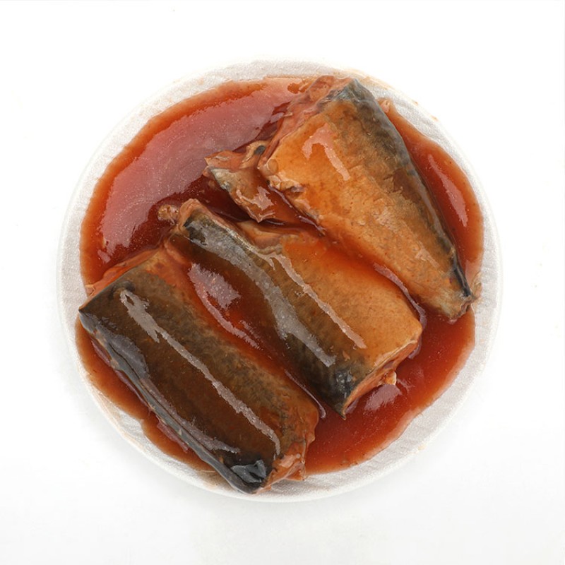 OEM ODM Free Sample Canned Fish Mackerel in Tomato Sauce/ Brine/oil With Approved Factory Price