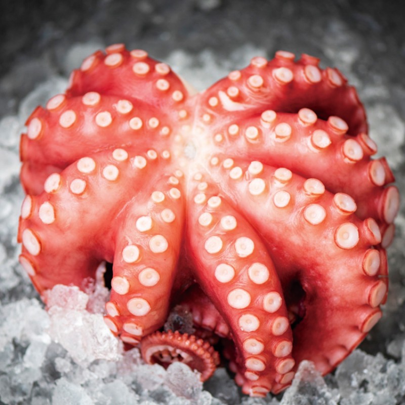 Free Sample OEM ODM Custom Package Wholesale Sushi Instant Frozen Octopus