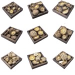 OEM ODM Free Sample Custom LOGO Wholesale High Quality Fujian Mushrooms Stir Fried Meat and Soup Ingredients Shiitake Mushrooms