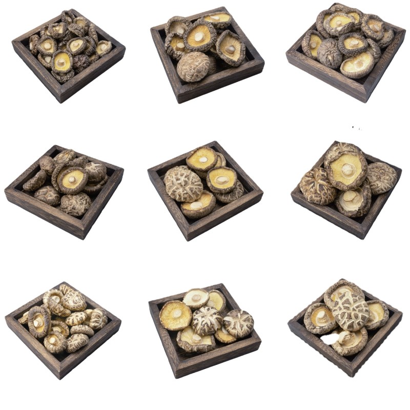 OEM ODM Free Sample Custom LOGO Wholesale High Quality Fujian Mushrooms Stir Fried Meat and Soup Ingredients Shiitake Mushrooms