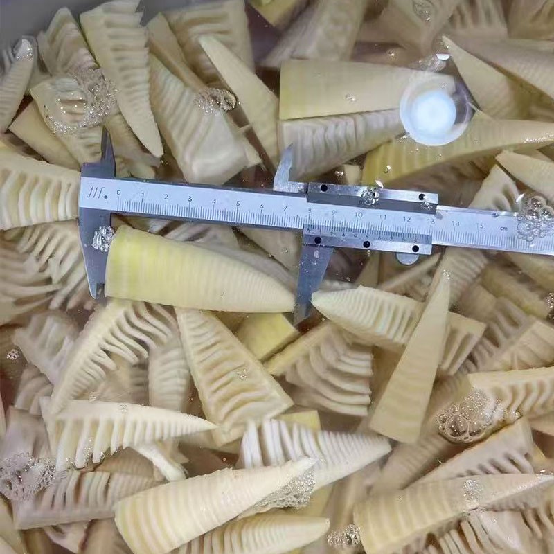 OEM ODM ALL Vegetable Custom Shape Whole Slice Strip Dice Fresh IQF Frozen Bamboo Shoot