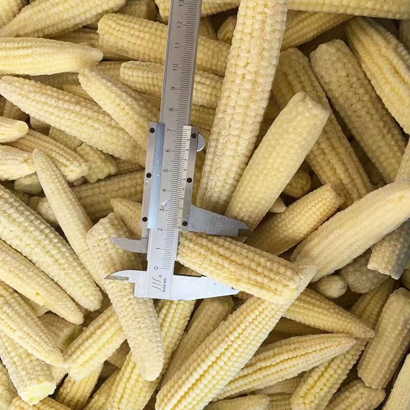 ALL Vegetable Custom Shape Whole Slice Strip Dice Fresh IQF Frozen Corn