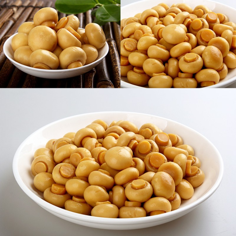 OEM ODM Free Sample Custom Package Whole Sliced Mixed Canned Fresh Mushroom