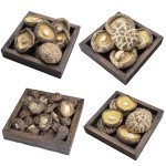 OEM ODM Free Sample Custom LOGO Wholesale High Quality Fujian Mushrooms Stir Fried Meat and Soup Ingredients Shiitake Mushrooms