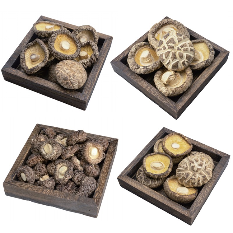 OEM ODM Free Sample Custom LOGO Wholesale High Quality Fujian Mushrooms Stir Fried Meat and Soup Ingredients Shiitake Mushrooms