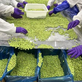 ALL Mix Vegetable Custom Shape Whole Slice Strip Dice Fresh IQF Frozen Green Soya Beans