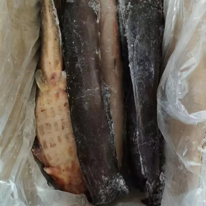 ODM OEM  Wholesaler BQF Whole Round Cleaned Fresh Frozen Catfish  to Africa