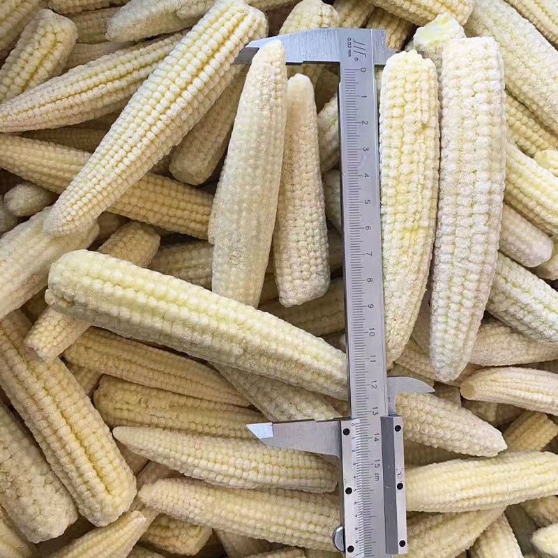 ALL Vegetable Custom Shape Whole Slice Strip Dice Fresh IQF Frozen Bamboo Shoot