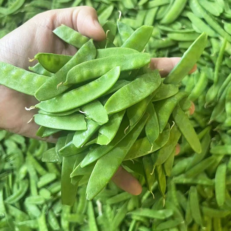 ALL Mix Vegetable Custom Shape Whole Slice Strip Dice Fresh IQF Frozen Green Soya Beans