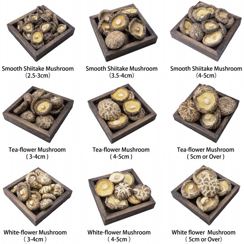 OEM ODM Free Sample Custom LOGO Wholesale High Quality Fujian Mushrooms Stir Fried Meat and Soup Ingredients Shiitake Mushrooms