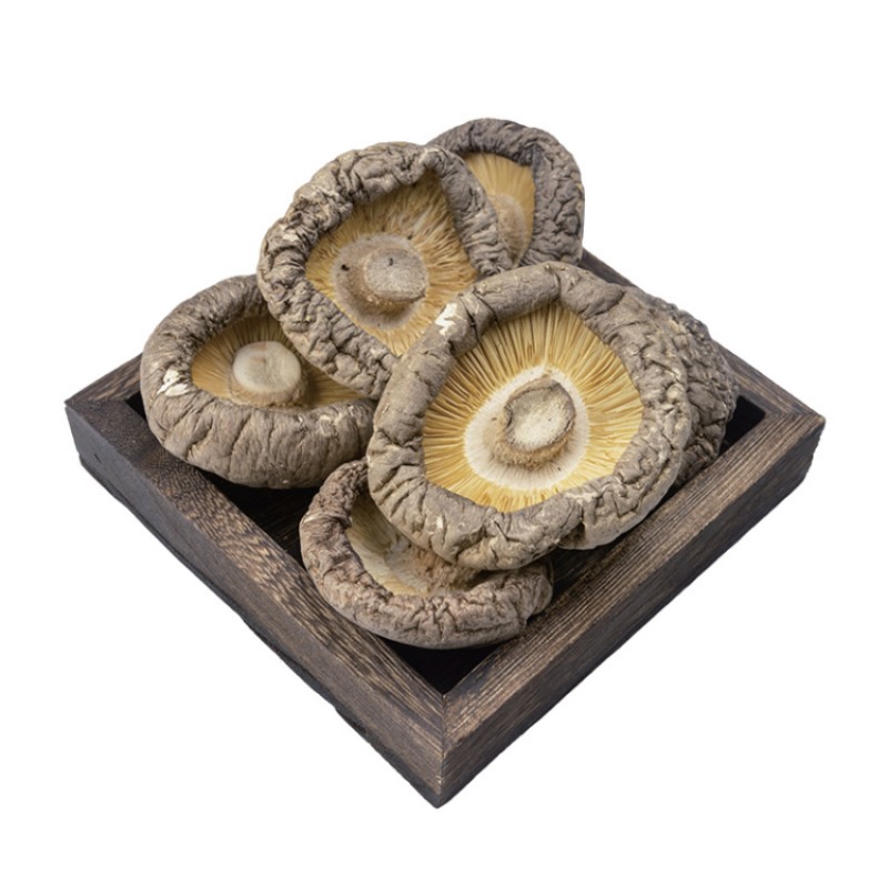 OEM ODM Free Sample Custom LOGO Wholesale High Quality Fujian Mushrooms Stir Fried Meat and Soup Ingredients Shiitake Mushrooms