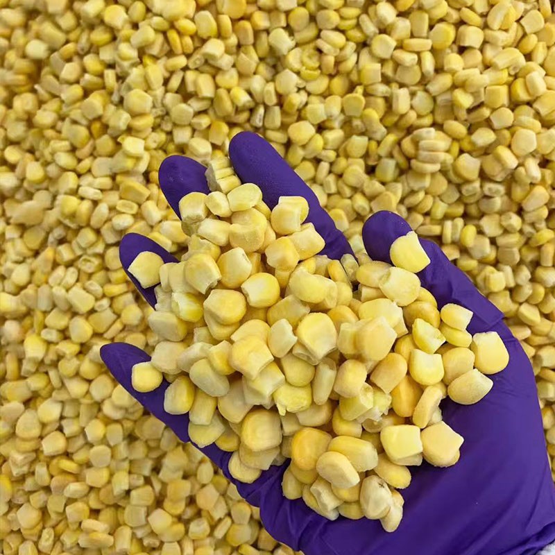 ALL Vegetable Custom Shape Whole Slice Strip Dice Fresh IQF Frozen Corn