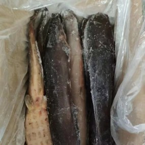 High-Quality BQF Whole Round Cleaned Frozen Catfish Wholesaler Custom Package