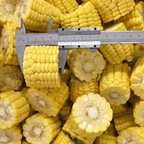 ALL Vegetable Custom Shape Whole Slice Strip Dice Fresh IQF Frozen Corn