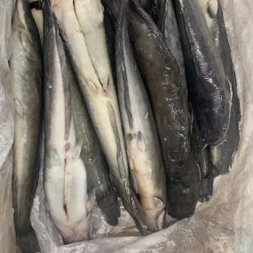 High Grade Cleaned Fresh Frozen China Catfish Whole Round  IQF ODM OEM