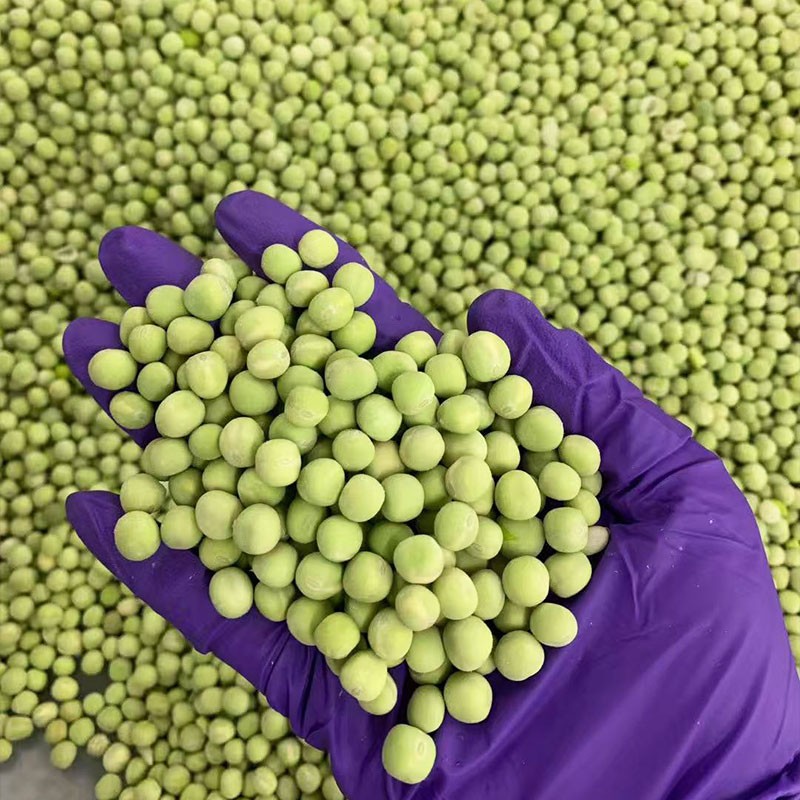 ALL Vegetable Custom OEM ODM Fresh IQF Frozen Soybean