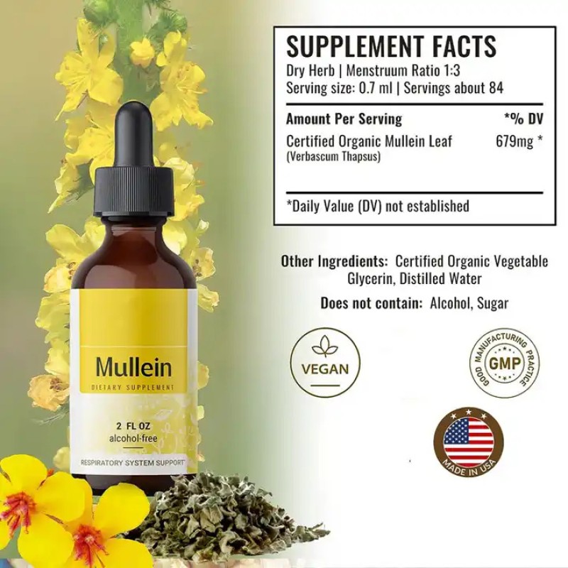 Biocaro OEM Lung Cleanse Detox Mullein Leaf Extract Drops Mullein Chlorophyll Liquid Supplement for Respiratory System Support