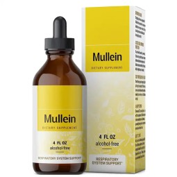 Biocaro OEM Lung Cleanse Detox Mullein Leaf Extract Drops Mullein Chlorophyll Liquid Supplement for Respiratory System Support