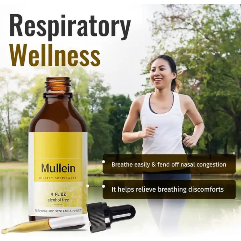 Biocaro OEM Lung Cleanse Detox Mullein Leaf Extract Drops Mullein Chlorophyll Liquid Supplement for Respiratory System Support