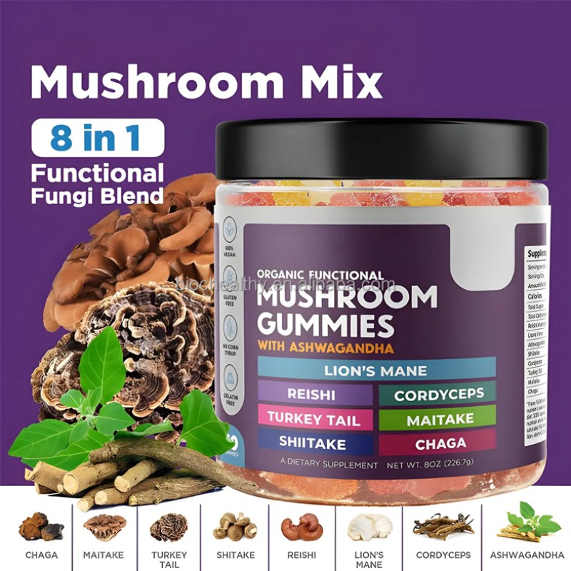 BIOCCHN OEM Private Label 10 Mushroom Blend Complex Lions Mane Mushroom Gummies for Brain Booster Immune Support