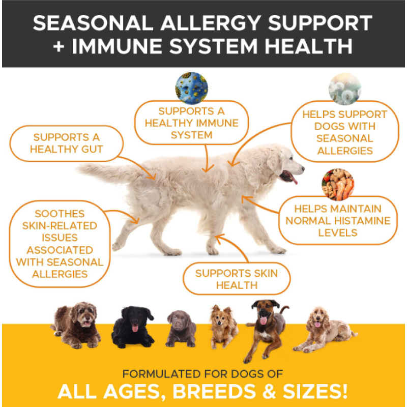 OEM Dog Chews Food Allergy Support Dog Probiotic Chews Relief Dog Allergy Chews Immune Supplement