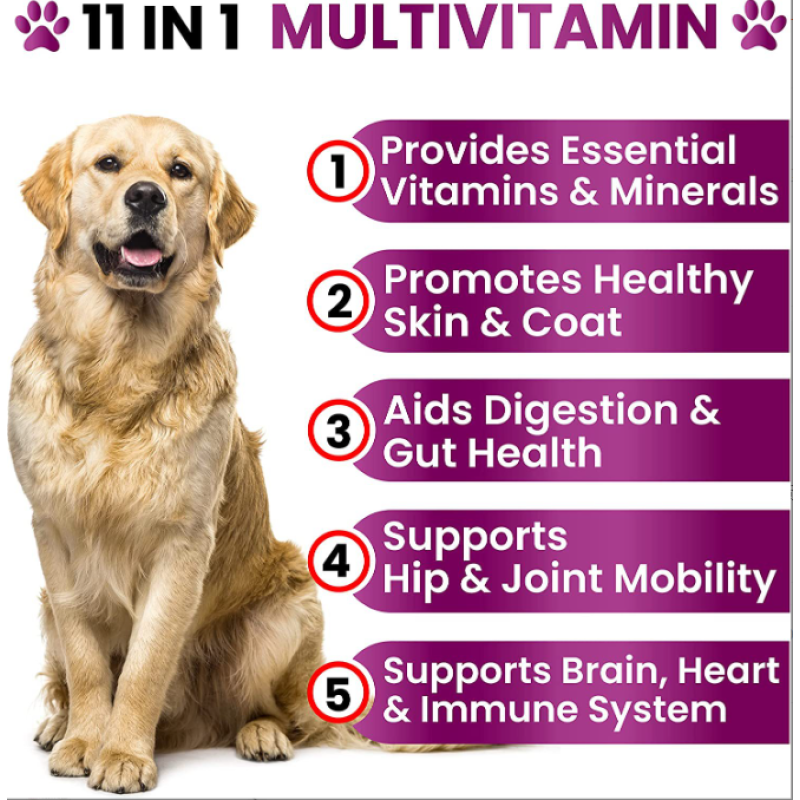 Wholesale Private Label Pet Supplement Multivitamins Dog Chews Pet Health Food Dog Skin and Coat Health