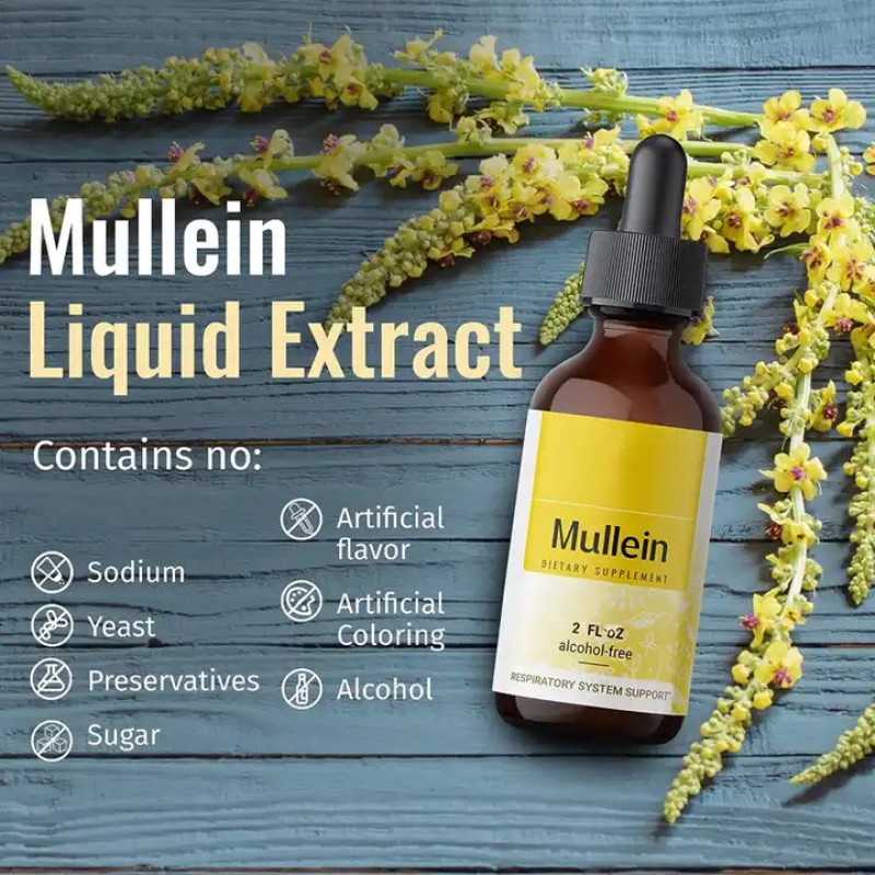 Biocaro OEM Lung Cleanse Detox Mullein Leaf Extract Drops Mullein Chlorophyll Liquid Supplement for Respiratory System Support