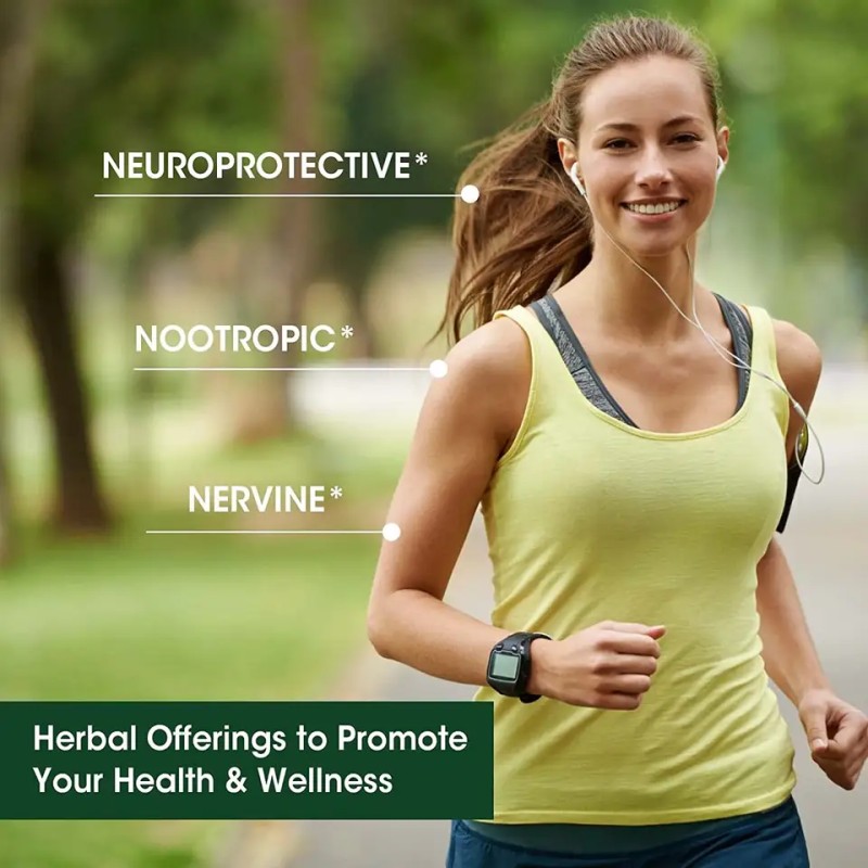 Biocaro OEM Private Label Premium Quality Lion's Mane Drops Mushroom Extract Drops Lion's Mane Nootropics Liquid