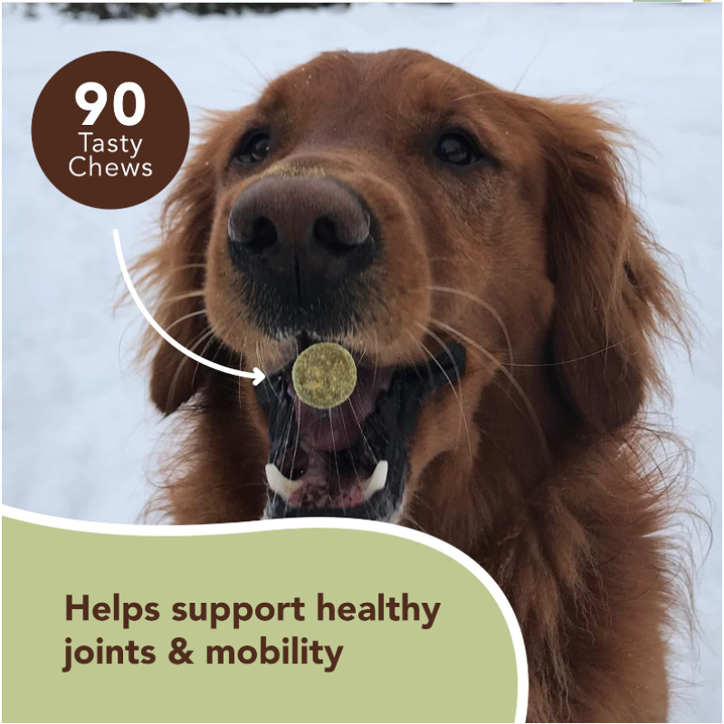 Private Label Dogs Chews Joint Care Dogs Supplements for Joint and Hip Development and Health