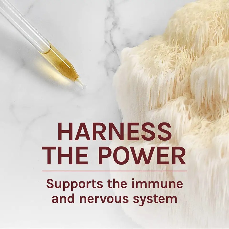 Biocaro OEM Organic Lion's Mane Supplement Absorption Mental Clarity Alcohol Free Vegan Lions Mane Mushroom Drop