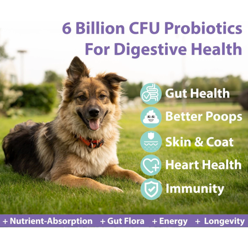 3-in-1 Promote Digestion Dog Probiotic Chews OEM Flavor Soft Chews Supplement for Dogs