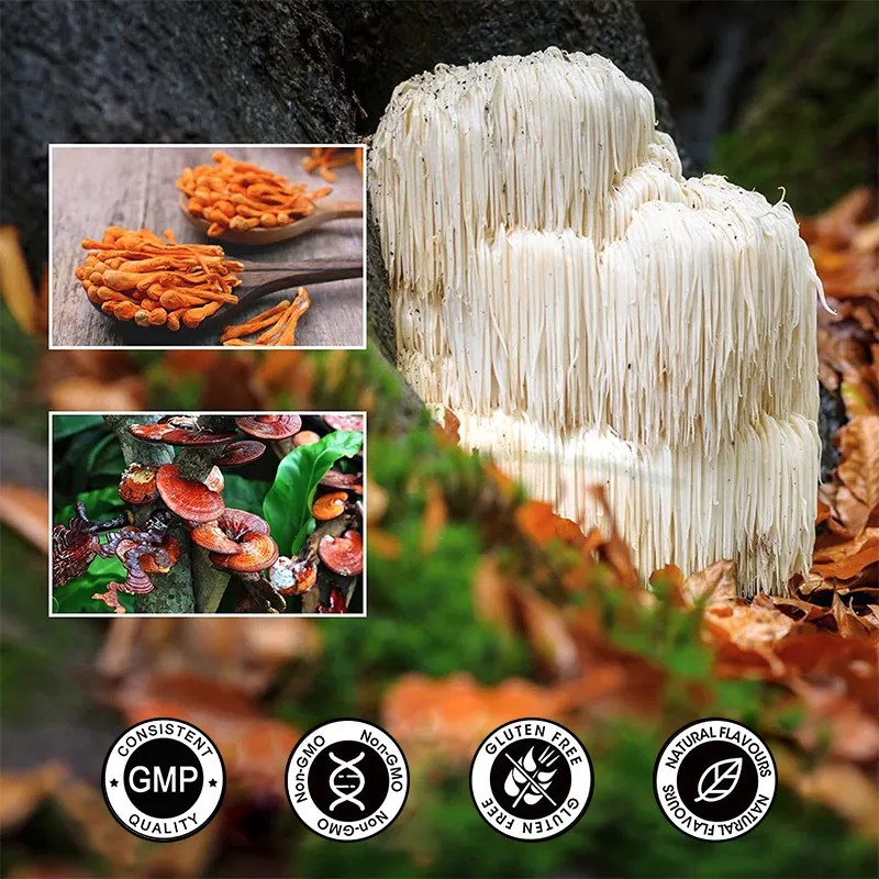 Biochealth Lions Mane Reishi Mushroom Complex Extract Liquid Drops Cordyceps Mushroom Mix Drops Chaga Lions Mane Mushroom Drop