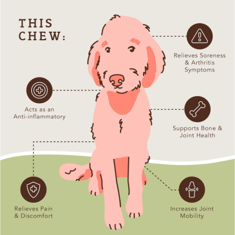 Private Label Dogs Chews Joint Care Dogs Supplements for Joint and Hip Development and Health