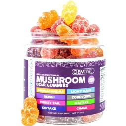 BIOCCHN OEM Private Label 10 Mushroom Blend Complex Lions Mane Mushroom Gummies for Brain Booster Immune Support
