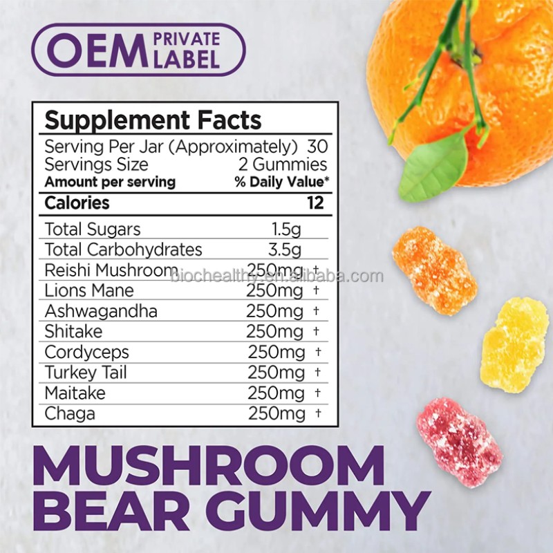 BIOCCHN OEM Private Label 10 Mushroom Blend Complex Lions Mane Mushroom Gummies for Brain Booster Immune Support