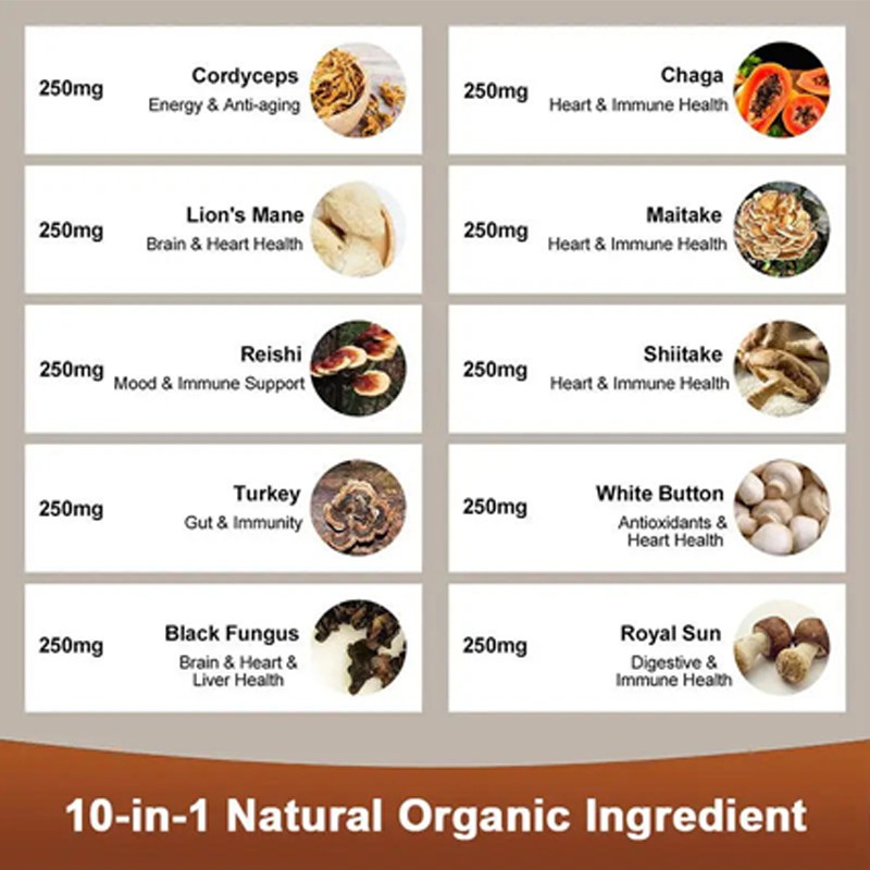 BIOCCHN Private Label Organic Lions Mane Extract Gummies Gummy Supplement Lions Mane Mushroom Gummies