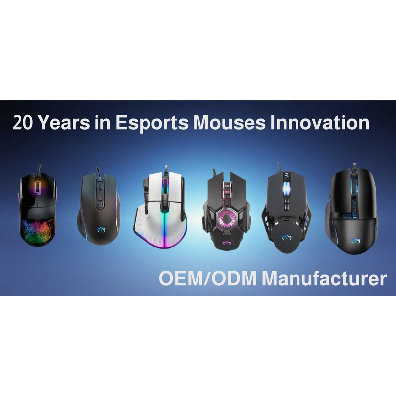 Gamer Mouse Manufacturer - Type-C Wired/Wireless Detachable Case