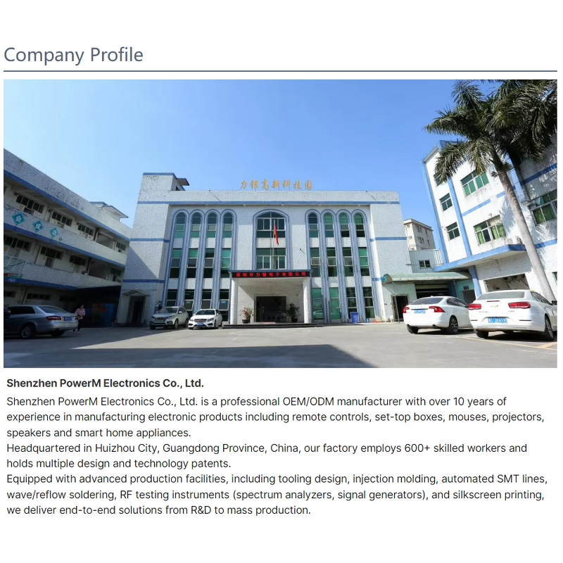 TV Voice Remote Control Factory - LY407 Built-in Microphone BT