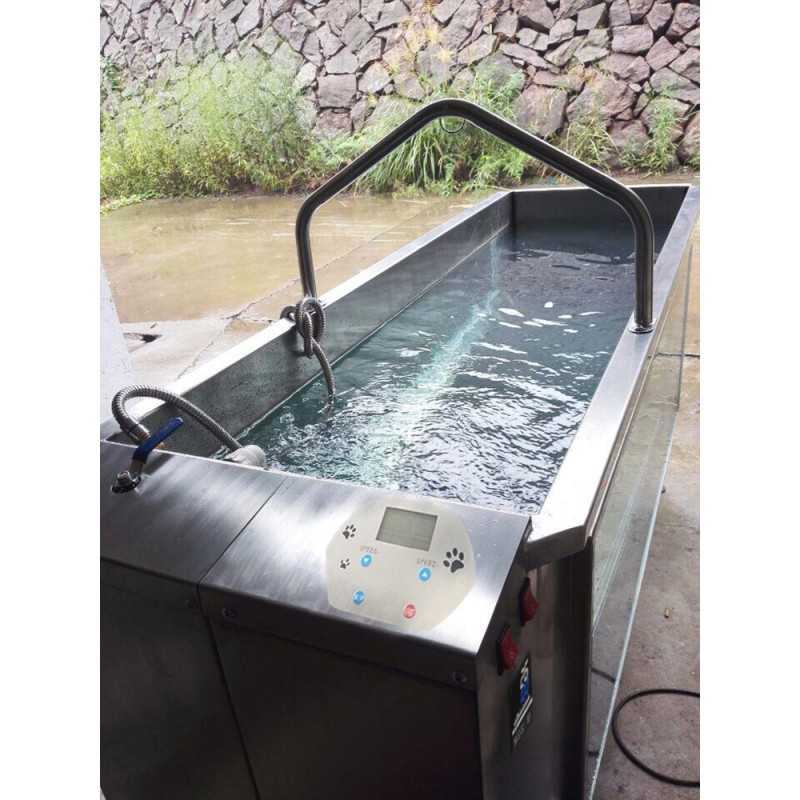 Pet Hydrotherapy Equipment Manufacturer - C480 Underwater Treadmill