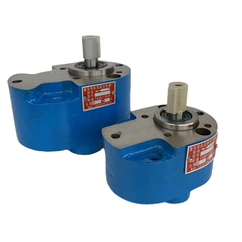 Hydraulic Pump Factory - Vane Gear Pump Piston