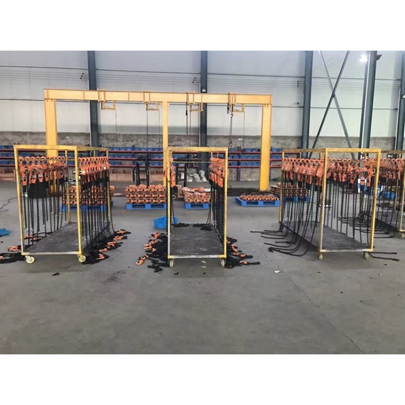 Manual Chain Hoist Supplier - 250kg-5T Wireless Control OEM