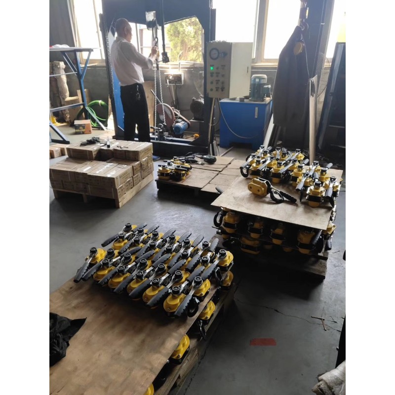 Chain Block Lever Hoist Manufacturer - OEM/ODM Custom Supplier