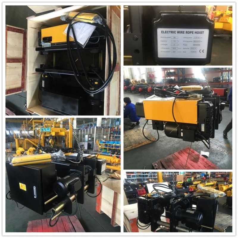 Electric Wire Rope Hoist - 3.2 Ton Customised