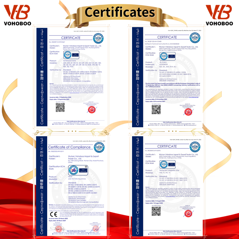 Steel Chain Hoist - Intelligent Remote Control