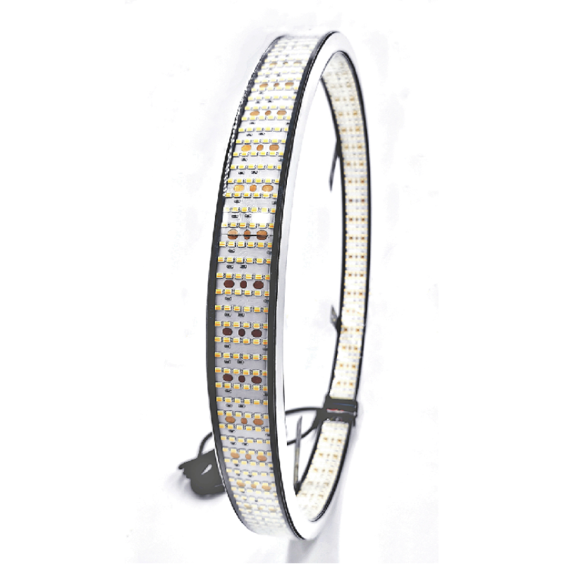 Dual-Color Car LED Light Factory - HB-R15-6P2 High Brightness