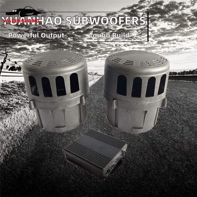 Active Subwoofer Speakers Factory - 100 Watt Low Frequency Wholesale