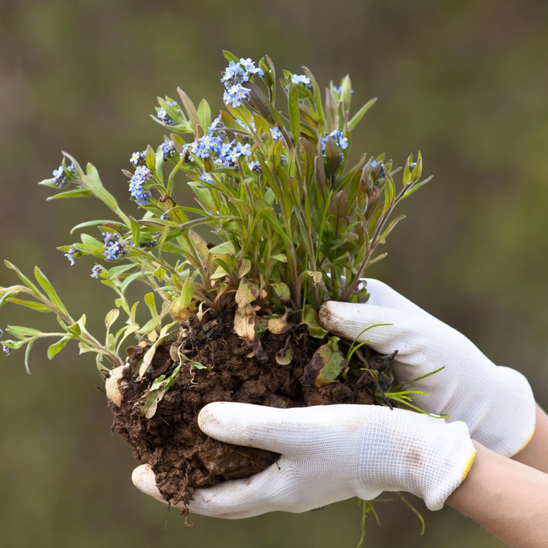 Coated Work Gloves - EN388 CE XL Garden