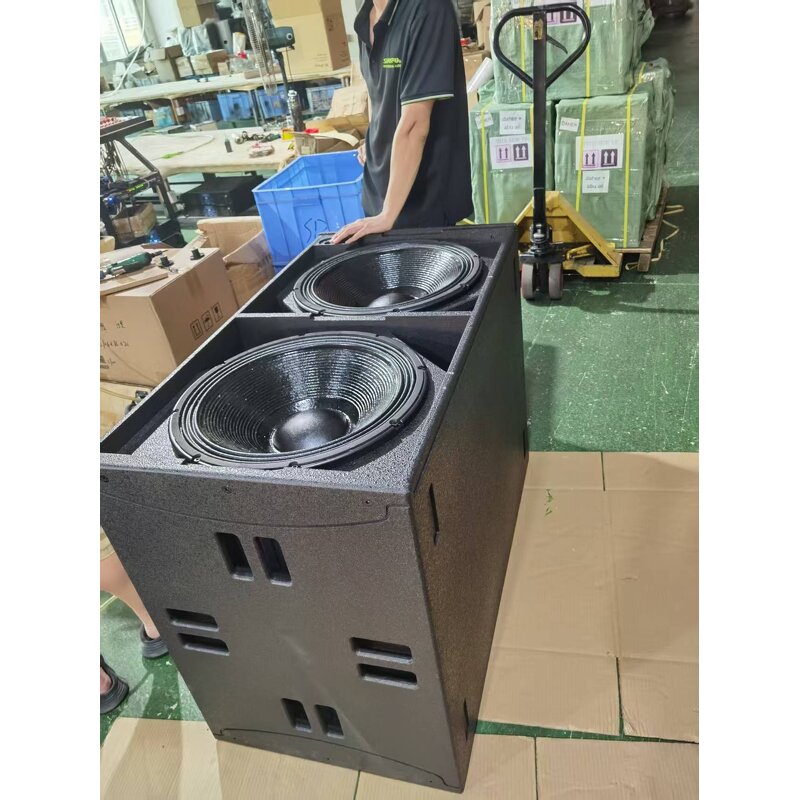 Subwoofer Factory - Dual 18 Inch Linear Array Low Bass Speaker
