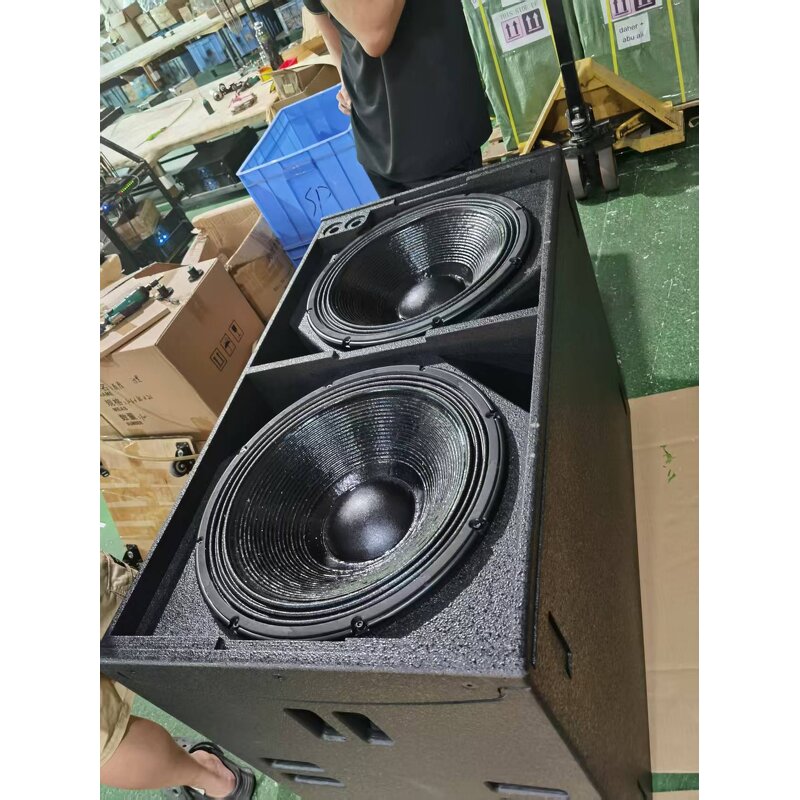 Subwoofer Factory - Dual 18 Inch Linear Array Low Bass Speaker